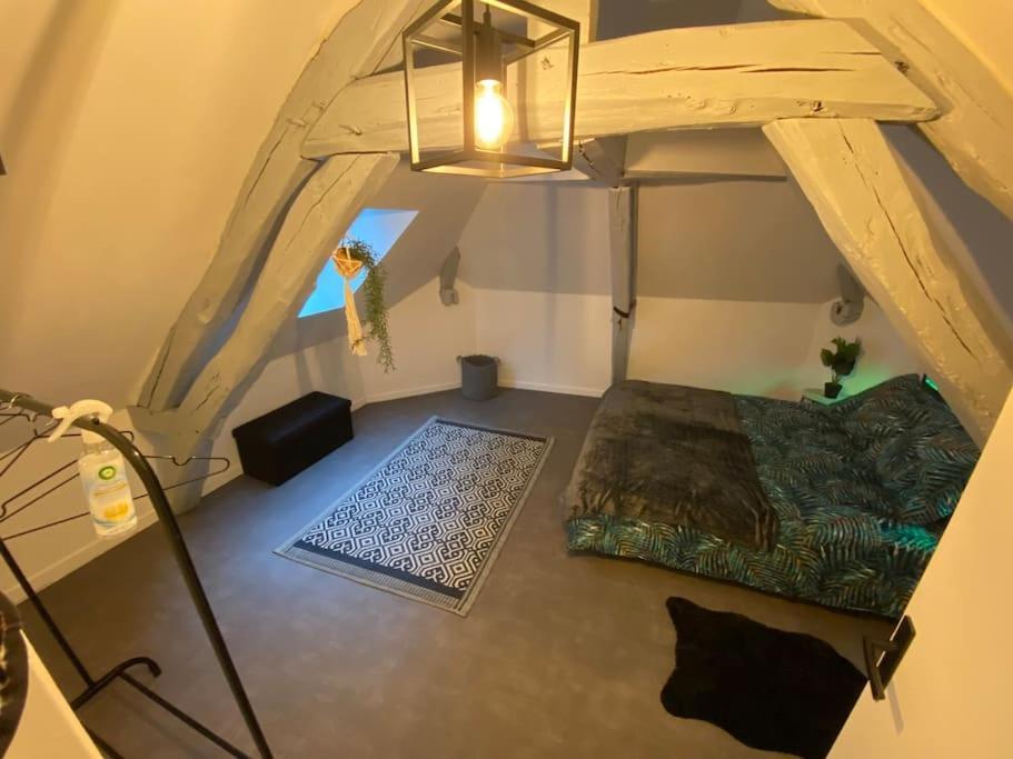 Super Appartement T3 Proche Gare ซ็องส์ ภายนอก รูปภาพ